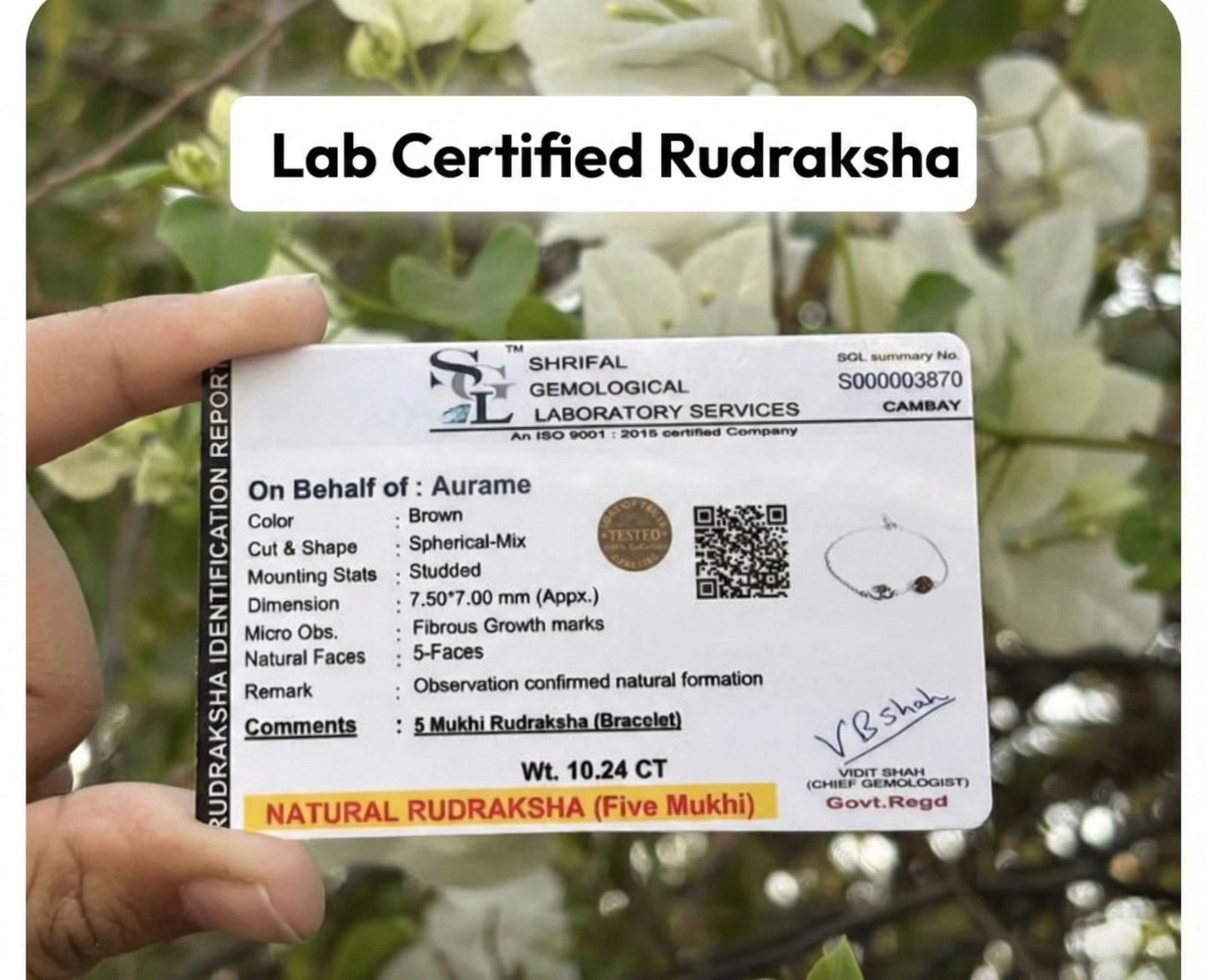 Shiva Rudraksha Pure Silver Bracelet ( Buy 1 Get 1 Free )